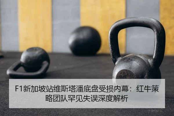 xin-jia-po-zhan-wei-si-ta-pan-di-pan-shou-sun-nei-mu-hong-niu-ce-lve-tuan-dui-han-jian-shi-wu-shen-du-jie-xi-2-751.jpg